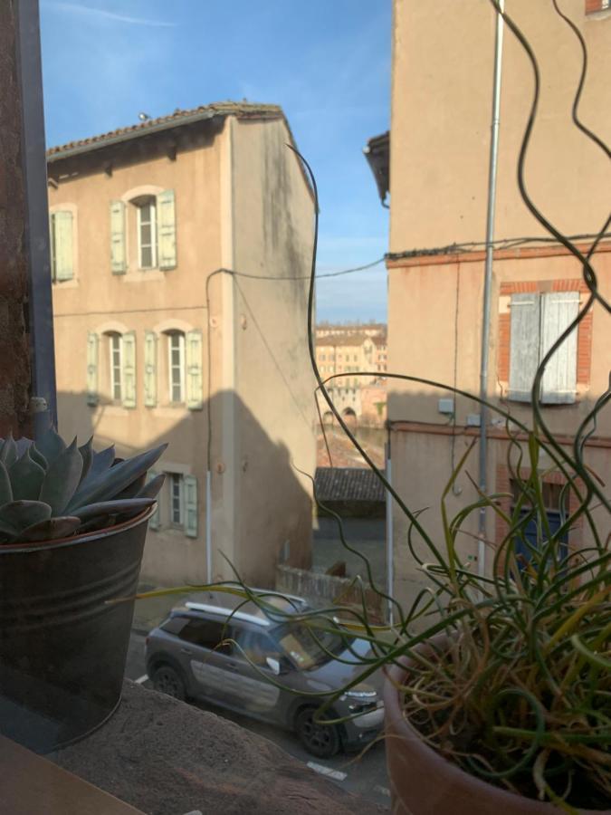 Maison De Ville Au Bord Des Berges Du Tarn Albi Exterior photo